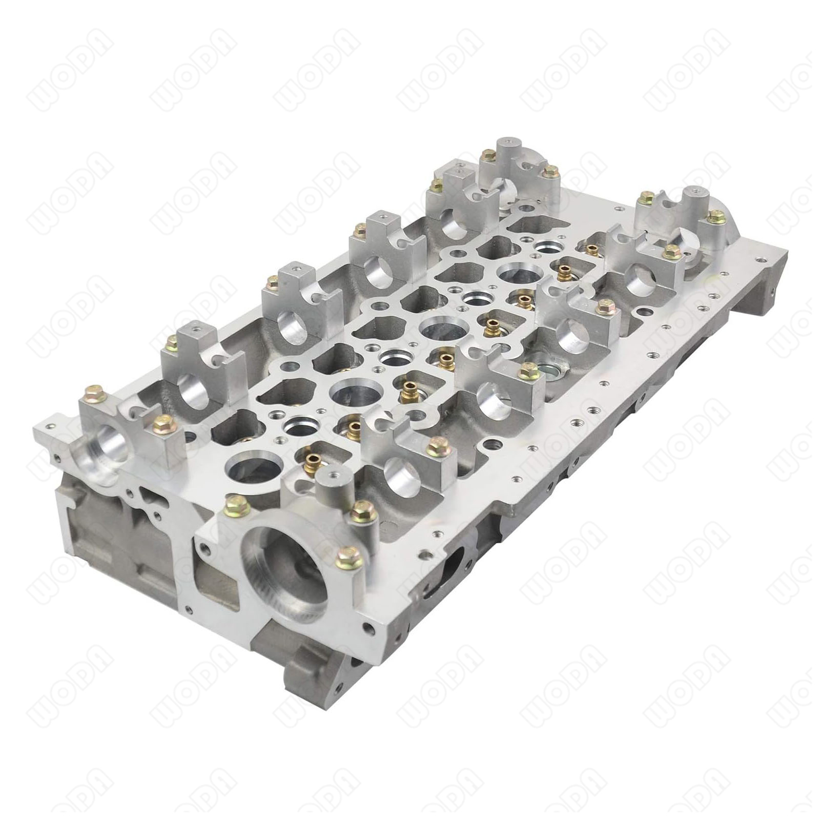 Engine Cylinder Head - Testata del motore diesel 4412023 11041-00QAF