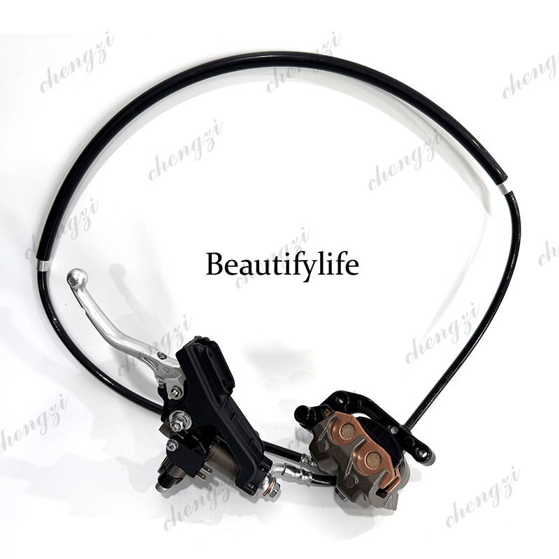 Pompa Superiore Idraulica Friz - Motorcycle Clutch recensione e prezzo