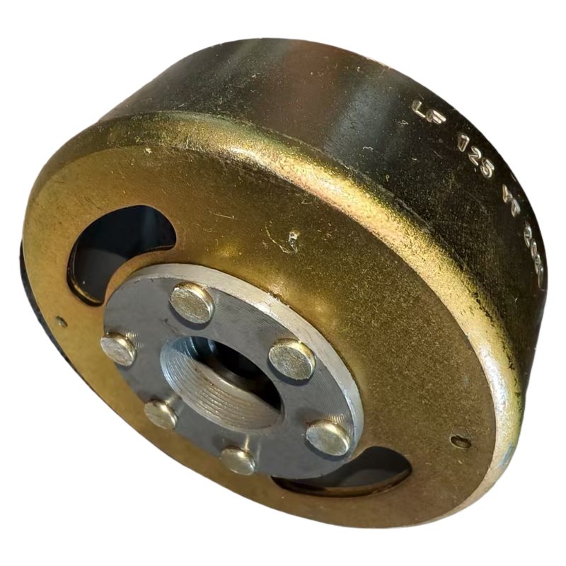 Rotore dello statore del volan - Motorcycle Stator recensione e prezzo